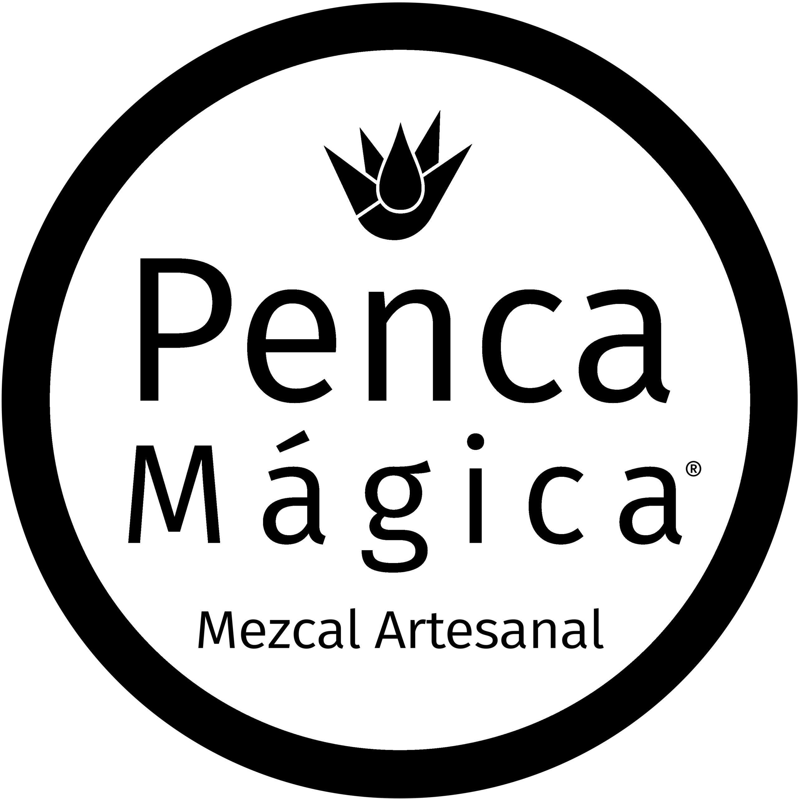 Penca Mágica